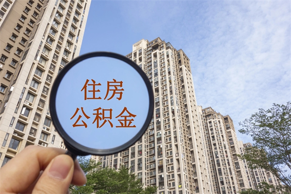 宁波深圳公积金（深圳公积金首页）